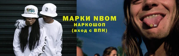 стафф Аркадак