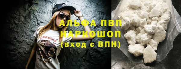 стафф Аркадак