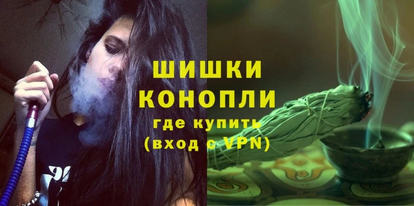 стафф Аркадак