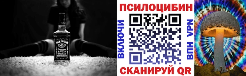 Псилоцибиновые грибы Cubensis  цена   Ростов 